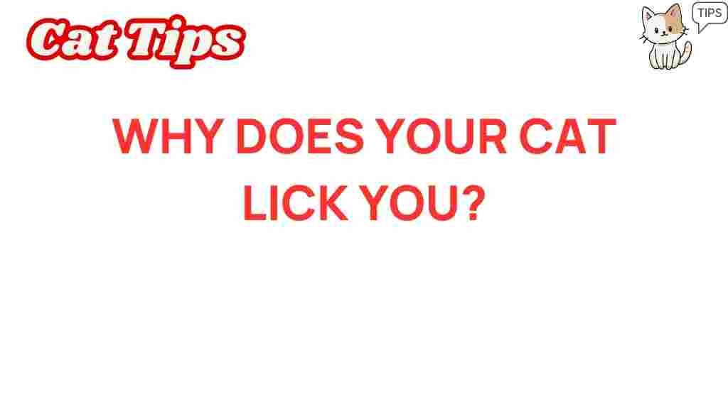 why-does-your-cat-lick-you