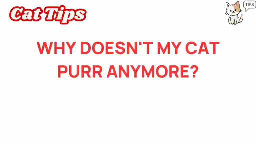 cat-behavior-why-stopped-purring