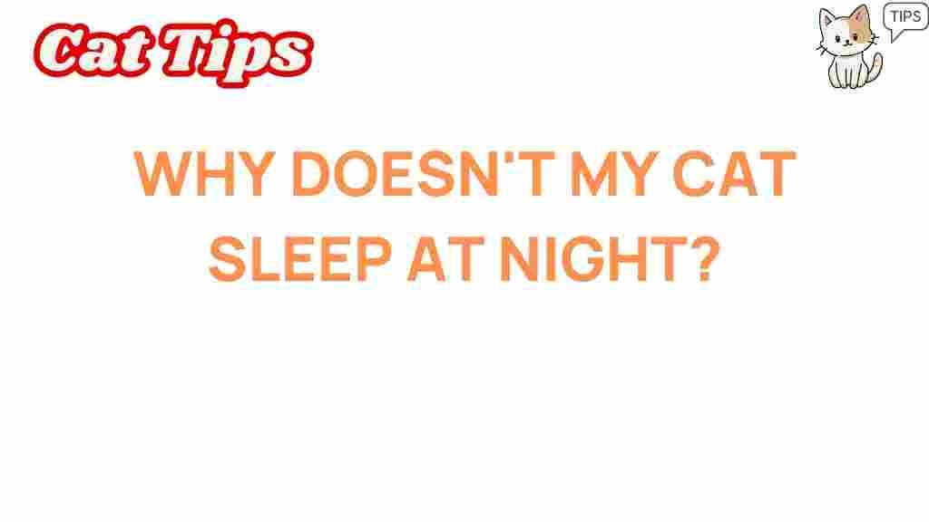 why-doesnt-my-cat-sleep