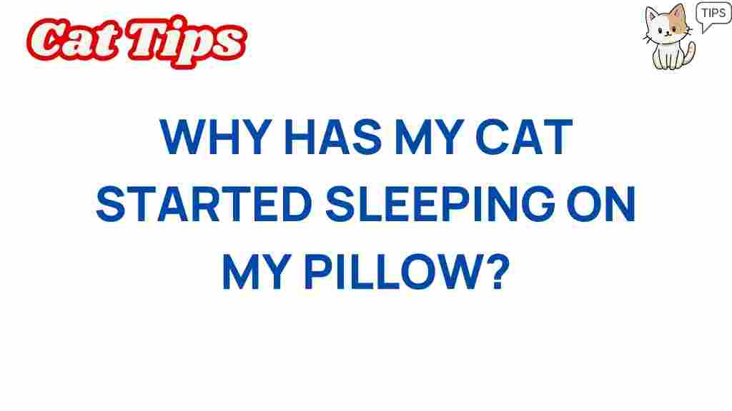 cat-behavior-pillow-sleeping