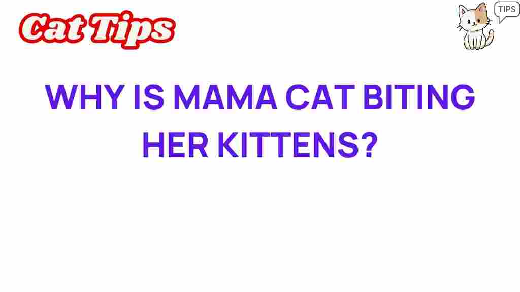 mama-cat-biting-kittens