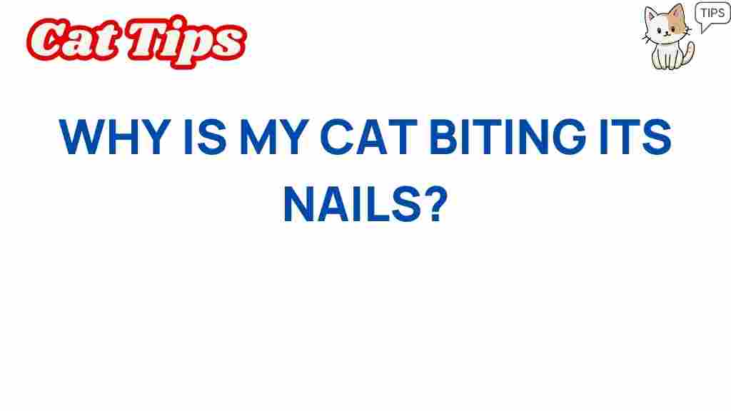 cat-biting-nails