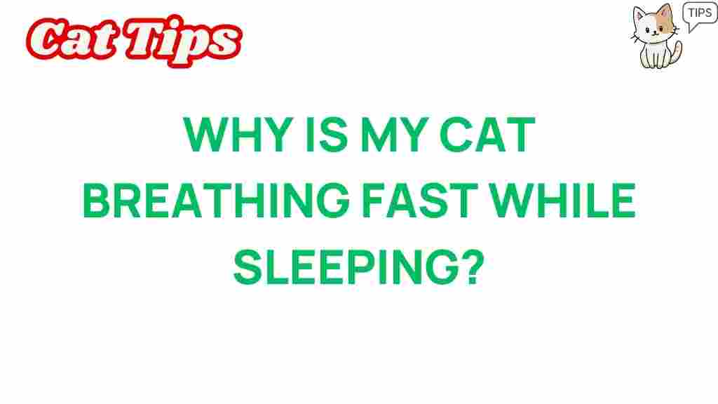 cat-breathing-fast-sleeping