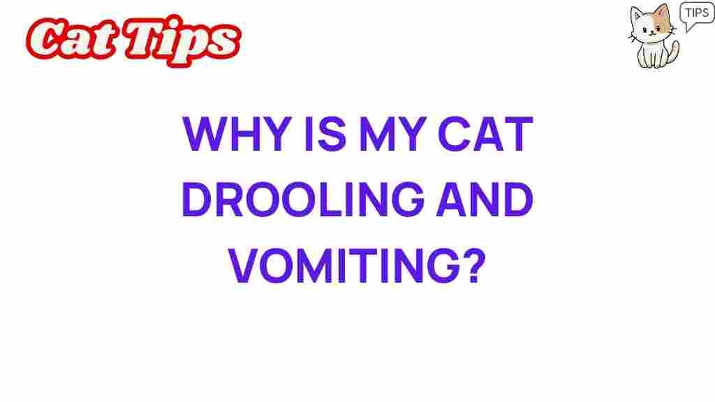 cat-health-drooling-vomiting