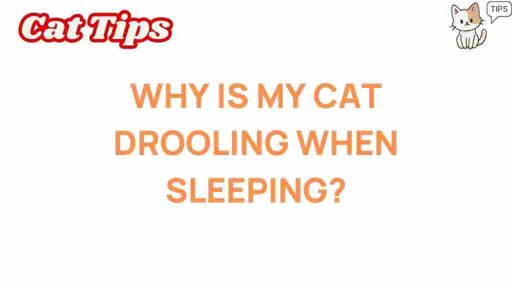 cat-drooling-sleep