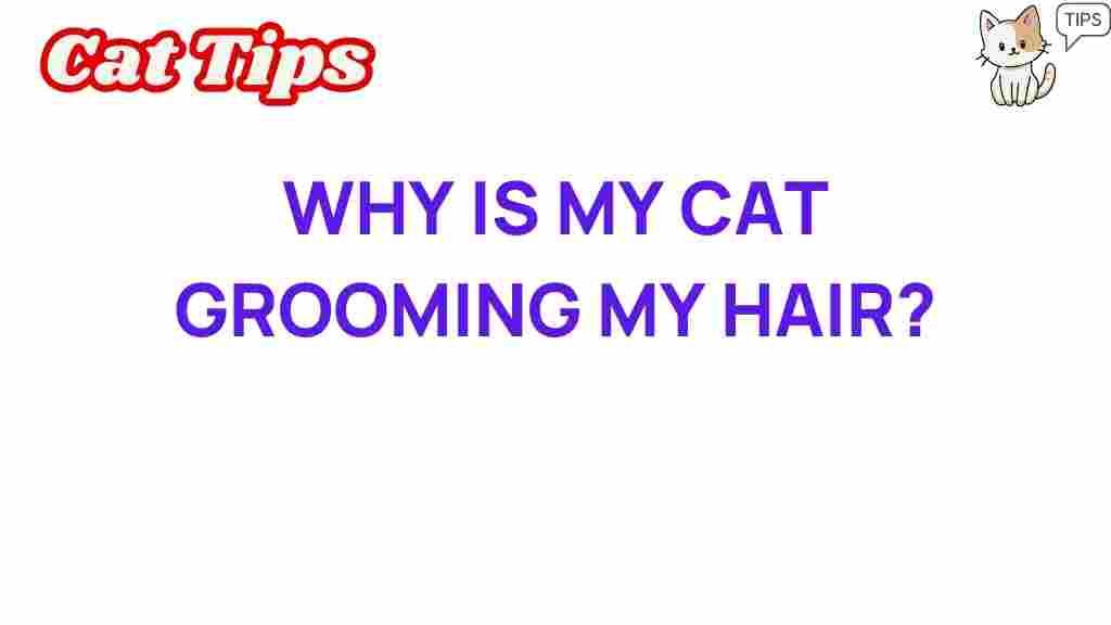cat-grooming-hair-reason