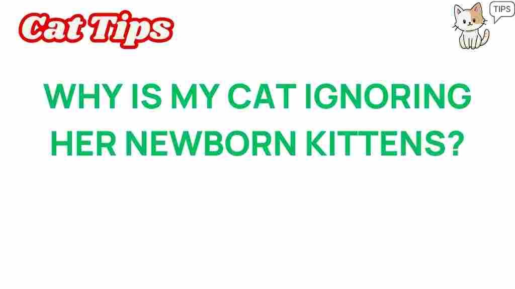 cat-behavior-ignoring-kittens