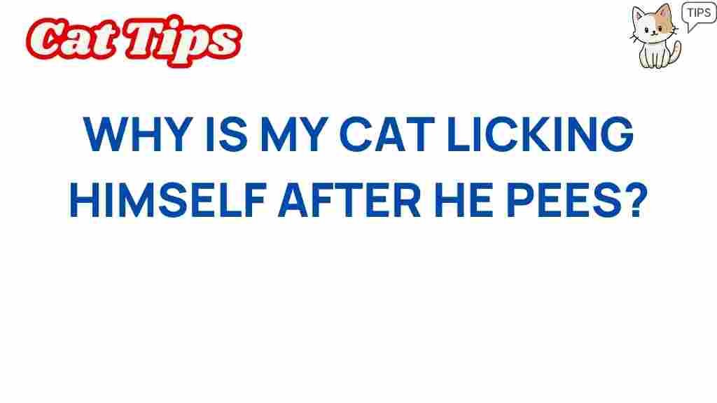 why-is-my-cat-licking-himself-after-he-pees