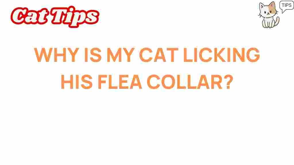 cat-licking-flea-collar