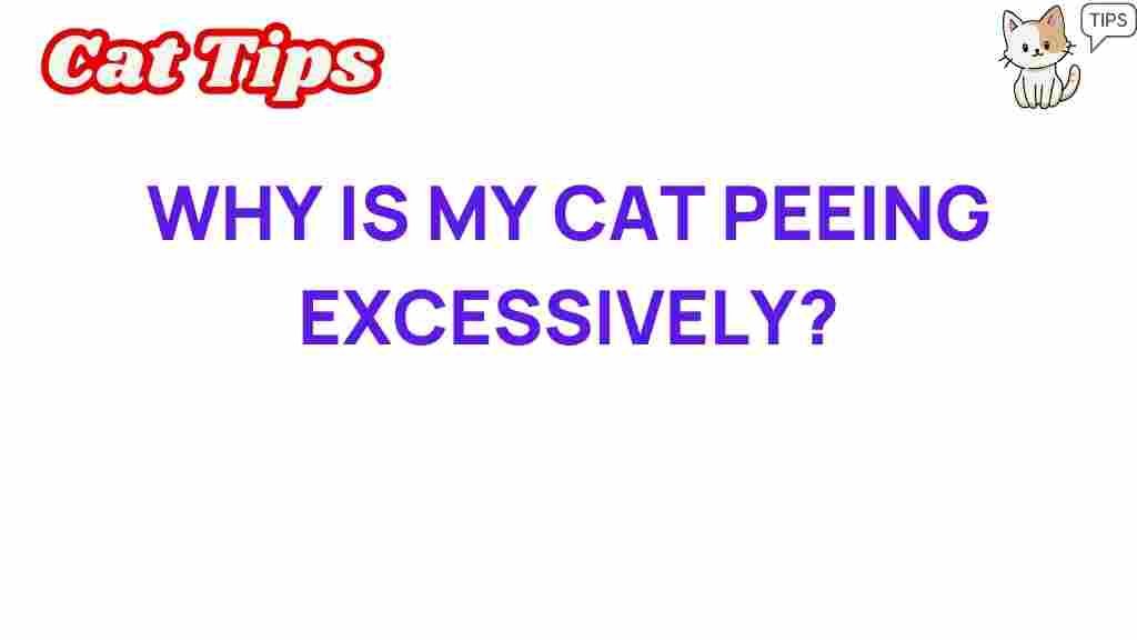 cat-peeing-excessively