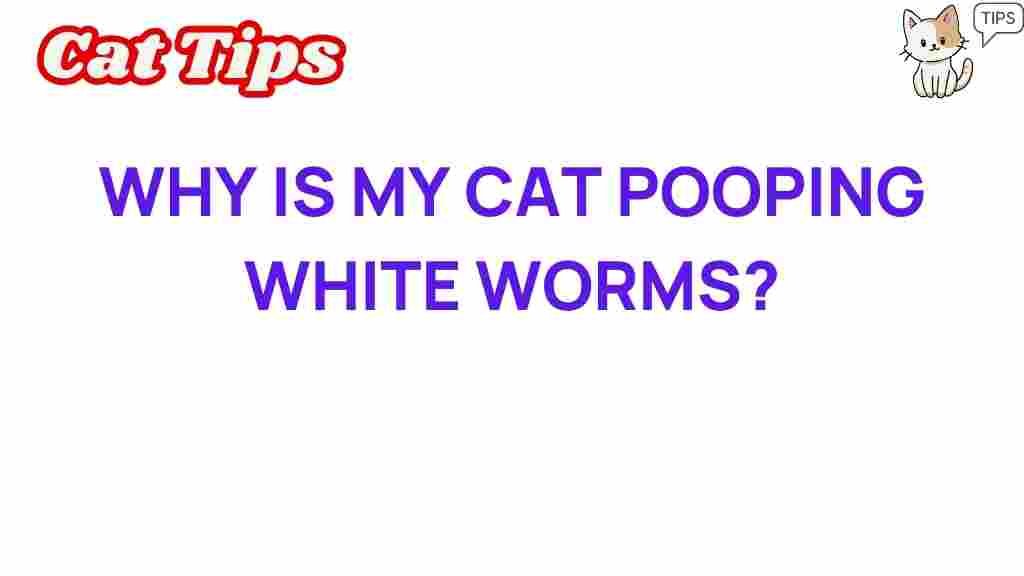 cat-pooping-white-worms