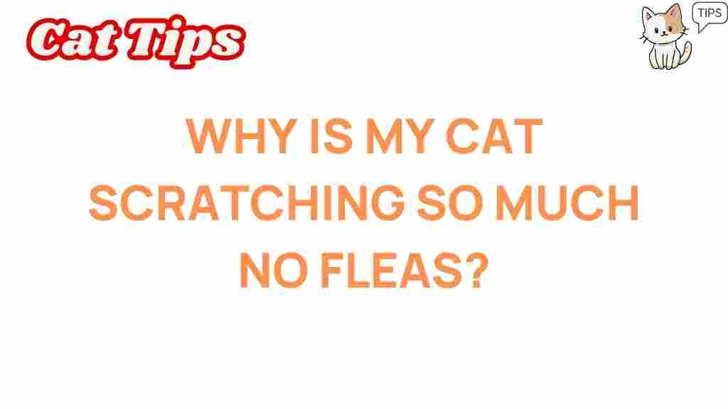 cat-scratching-mystery