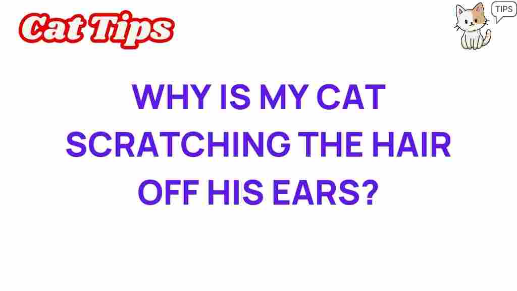 cat-scratching-ear-health