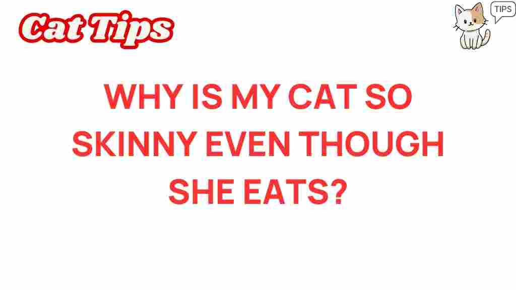 cat-health-skinny-eats