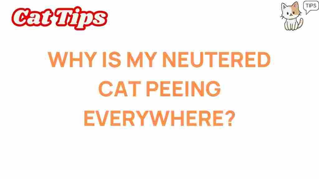 neutered-cat-peeing-everywhere