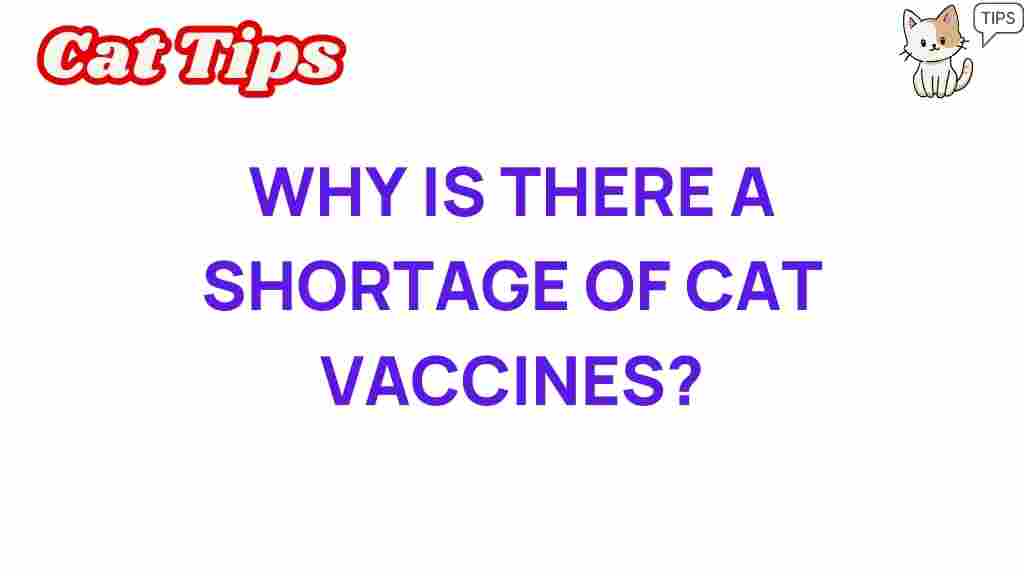 cat-vaccine-shortage