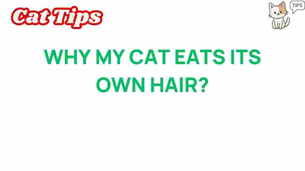 cat-behavior-feline-hair