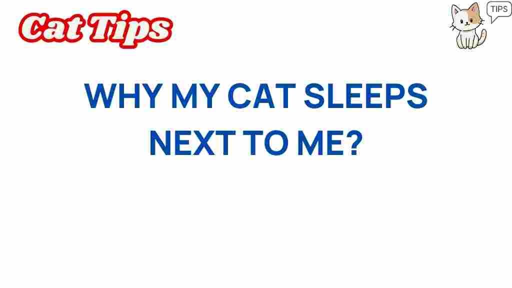 why-my-cat-sleeps-next-to-me
