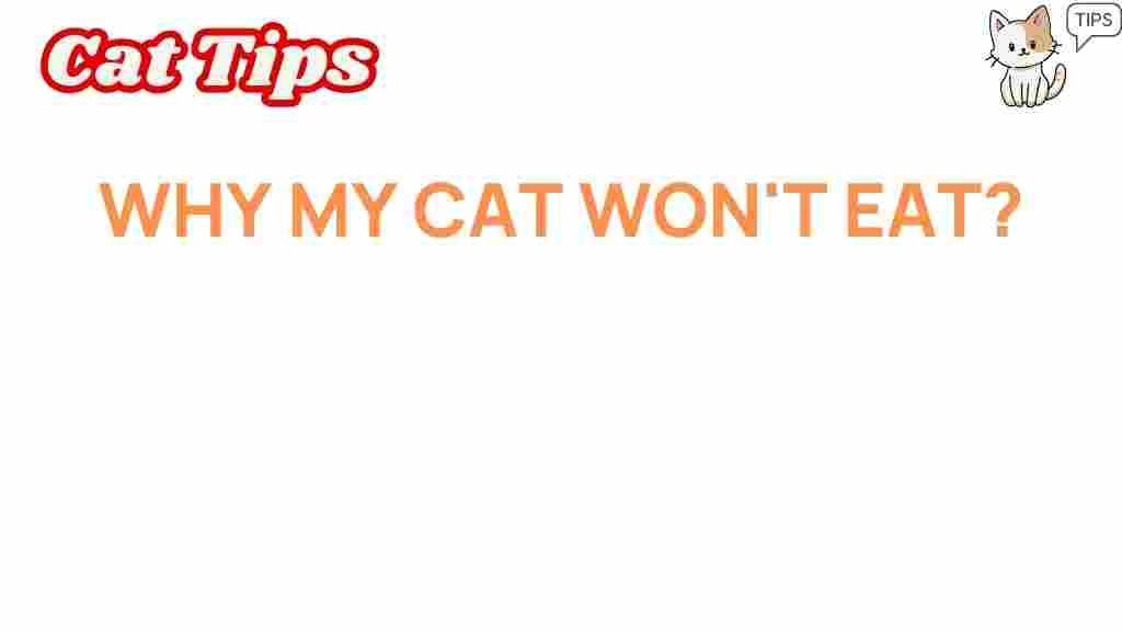 cat-appetite-mystery