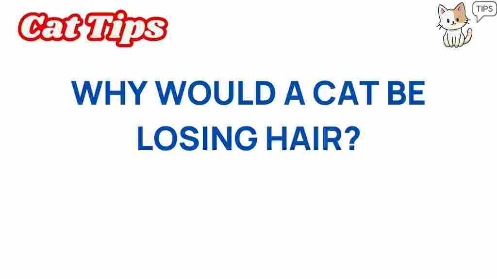 cat-hair-loss-mystery