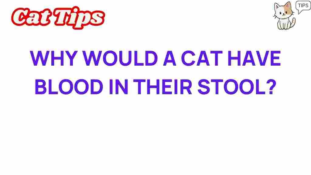 cat-health-blood-in-stool