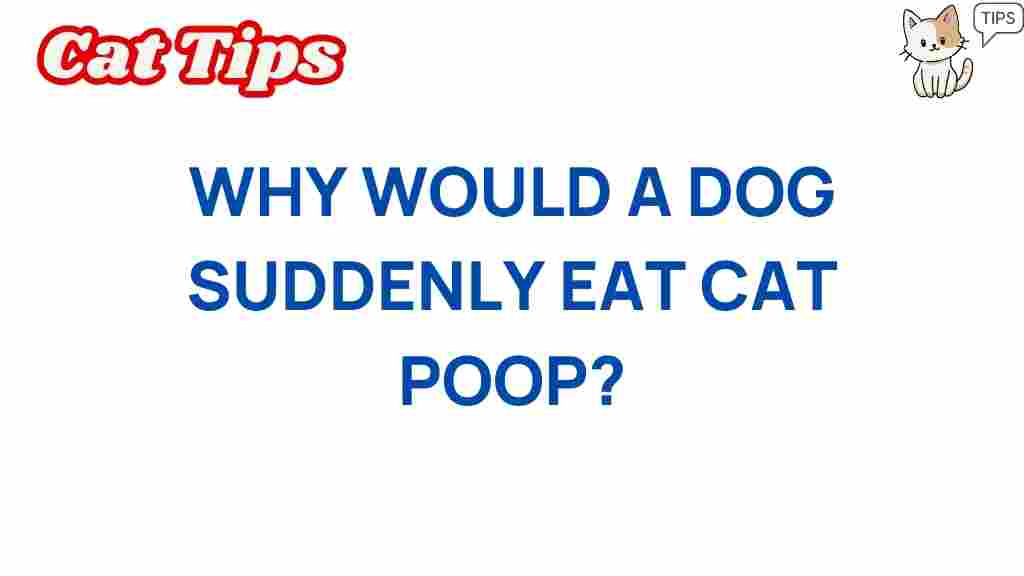 dog-eat-cat-poop