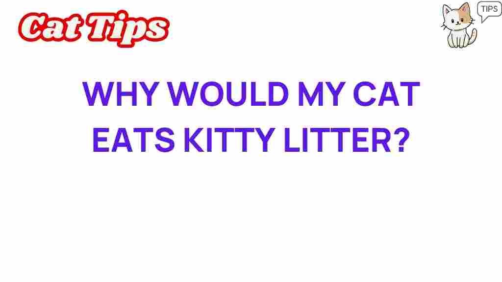 cat-eat-kitty-litter