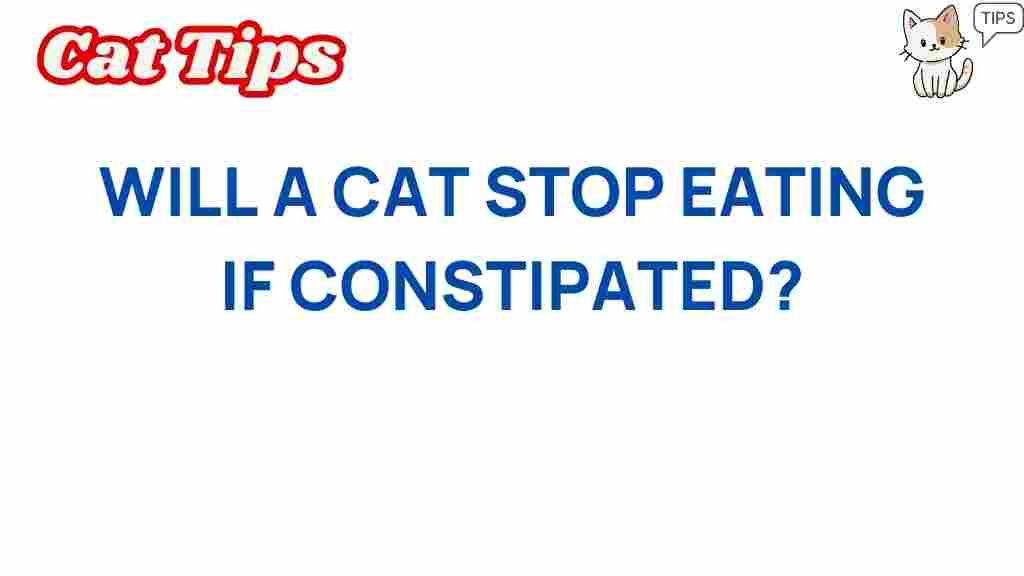 cat-health-constipation