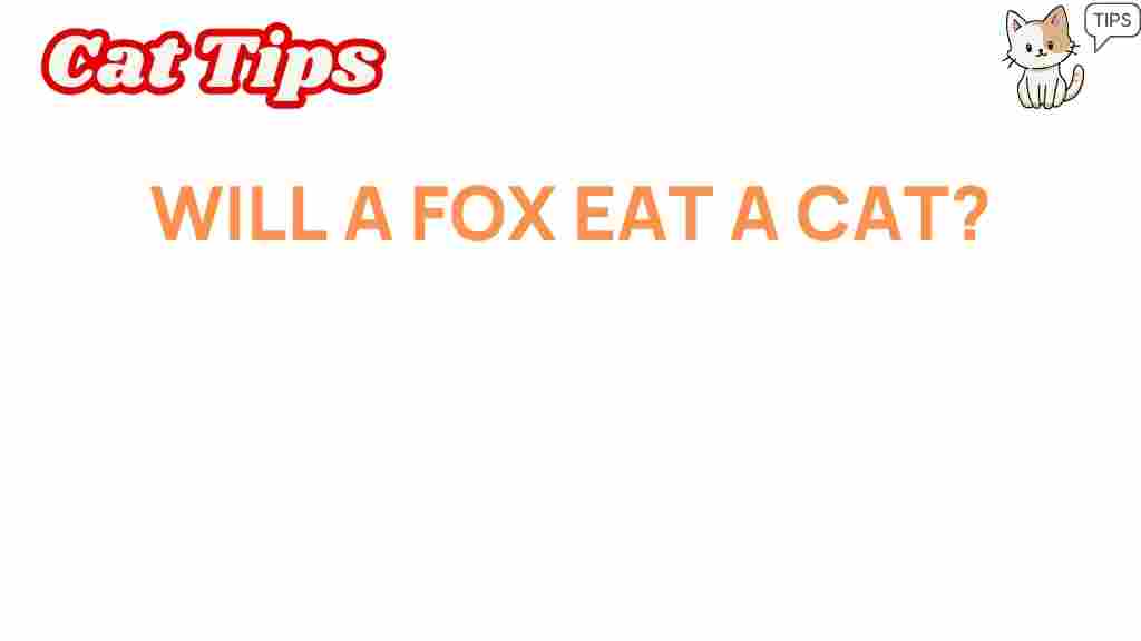 will-a-fox-eat-a-cat