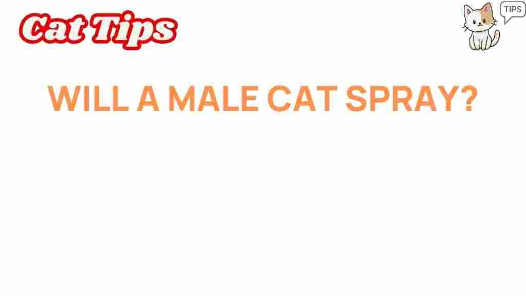 male-cat-spray