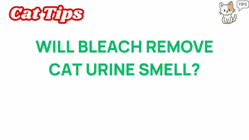 bleach-remove-cat-urine-smell