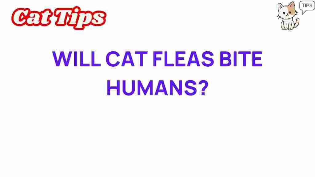 cat-fleas-bite-humans