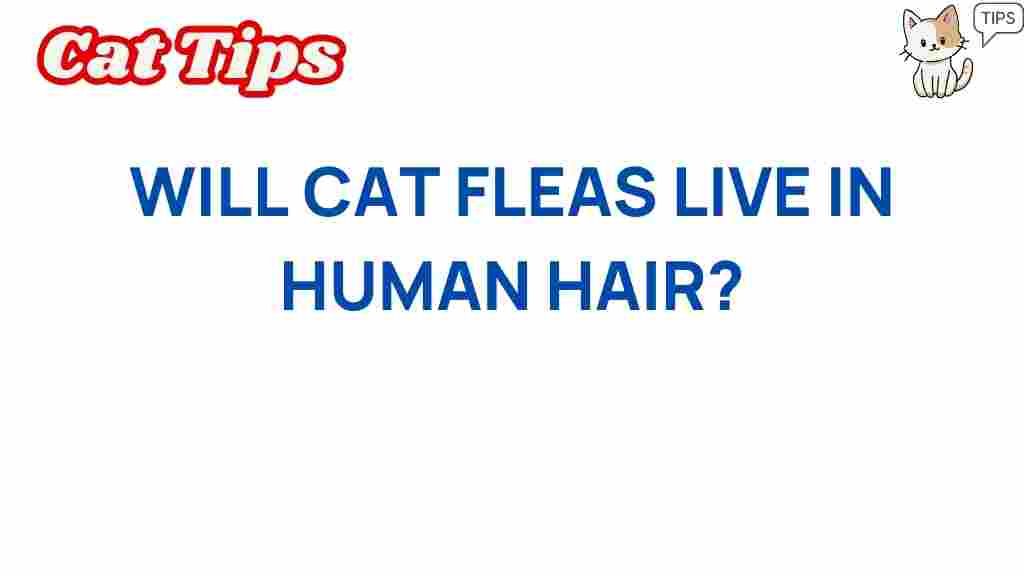 cat-fleas-human-hair