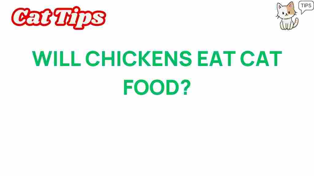chickens-eat-cat-food