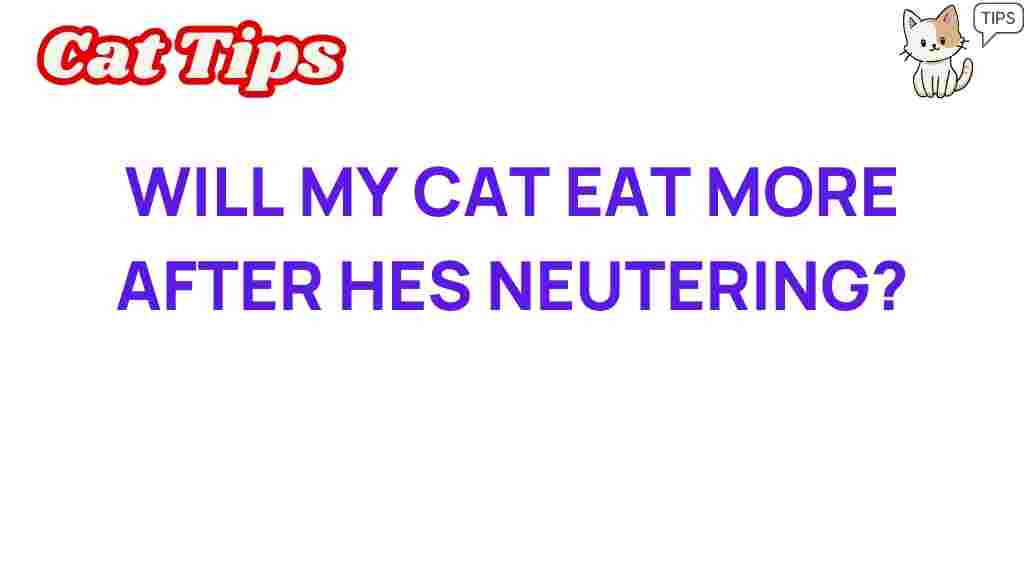 cat-neutering-eating-habits