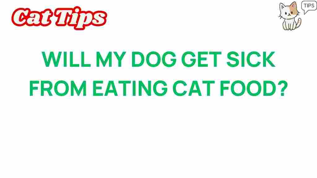 can-your-dog-safely-snack-on-cat-food