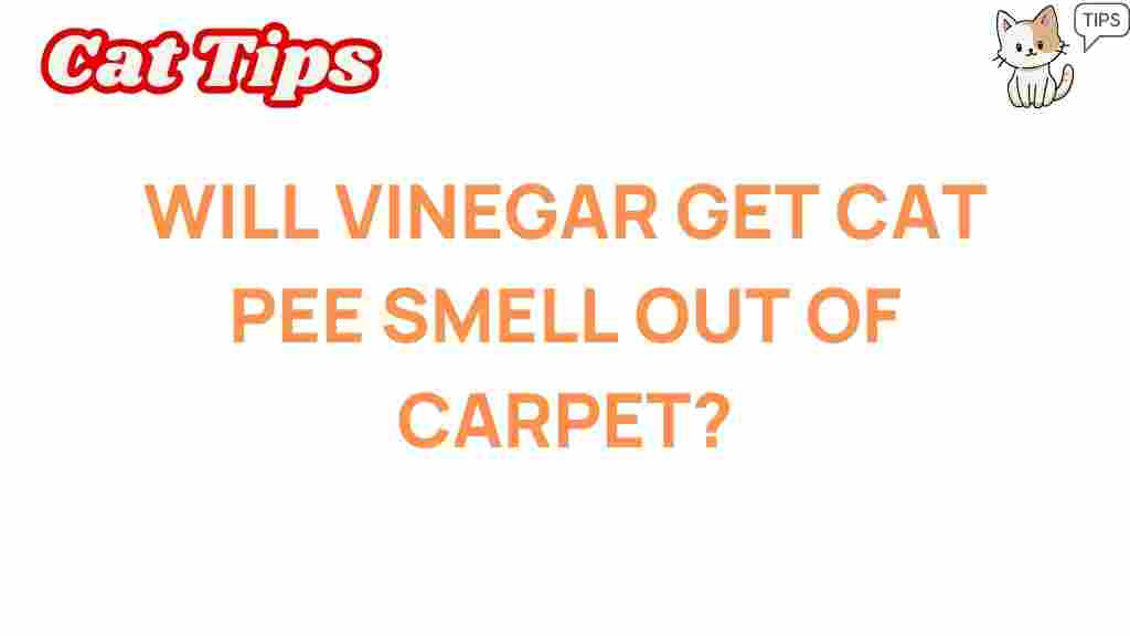 vinegar-cat-pee-odor-removal