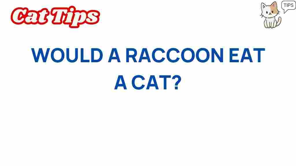 raccoon-behavior-eat-cat