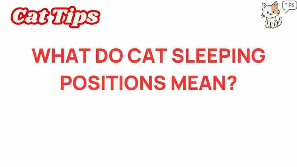 cat-sleeping-positions-mean