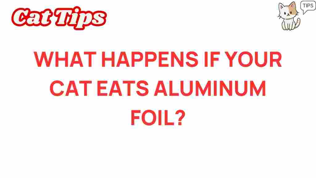 aluminum-foil-cat-health