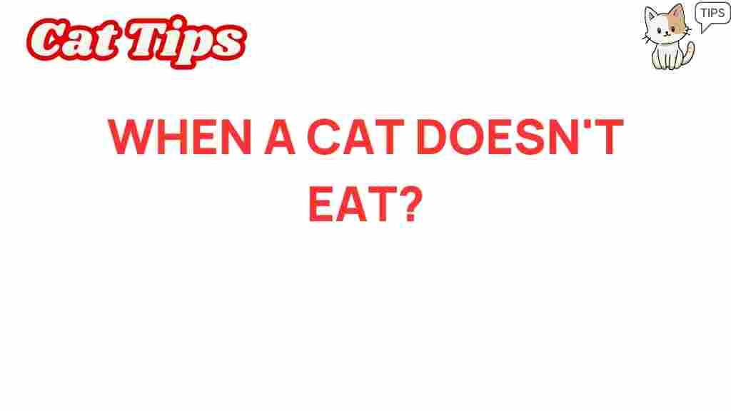 understanding-cat-eating-habits