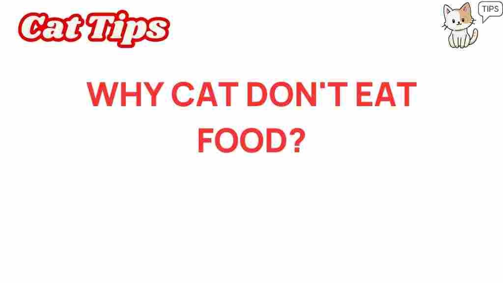 why-cat-avoid-food