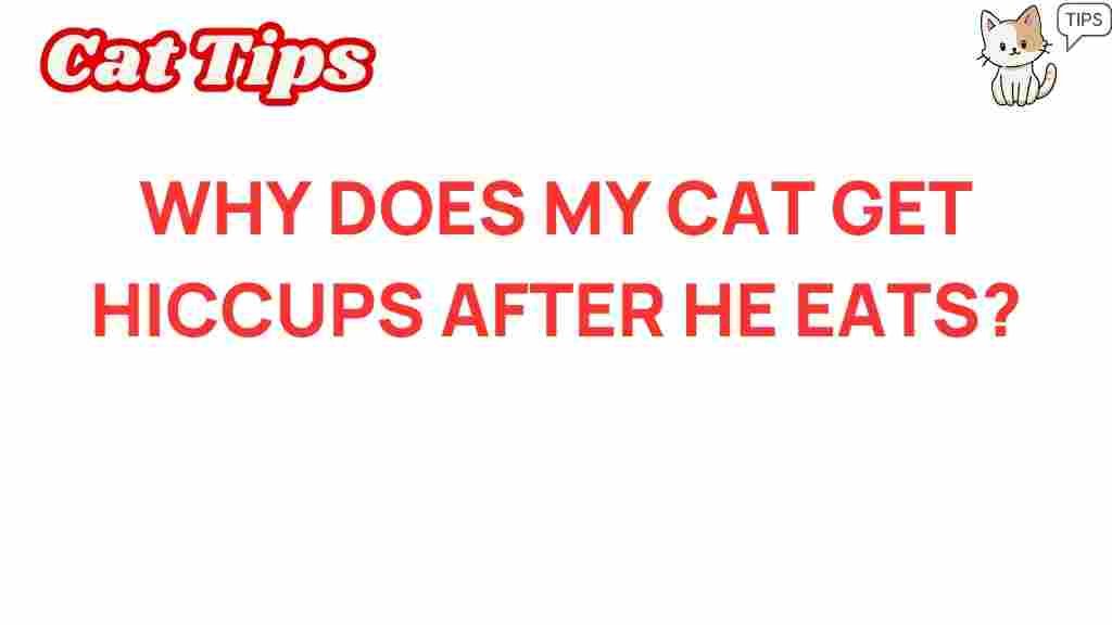 cat-hiccups-after-eating