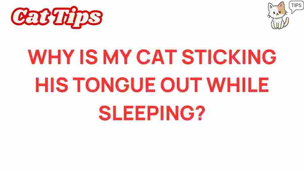 cat-behavior-why-tongue-out-sleeping