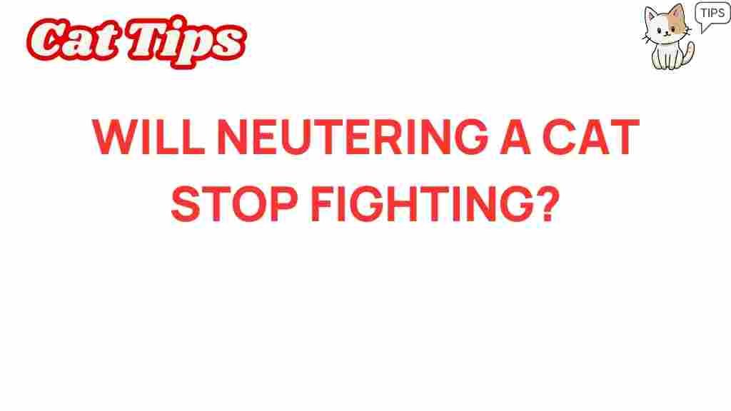 neutering-cat-aggression